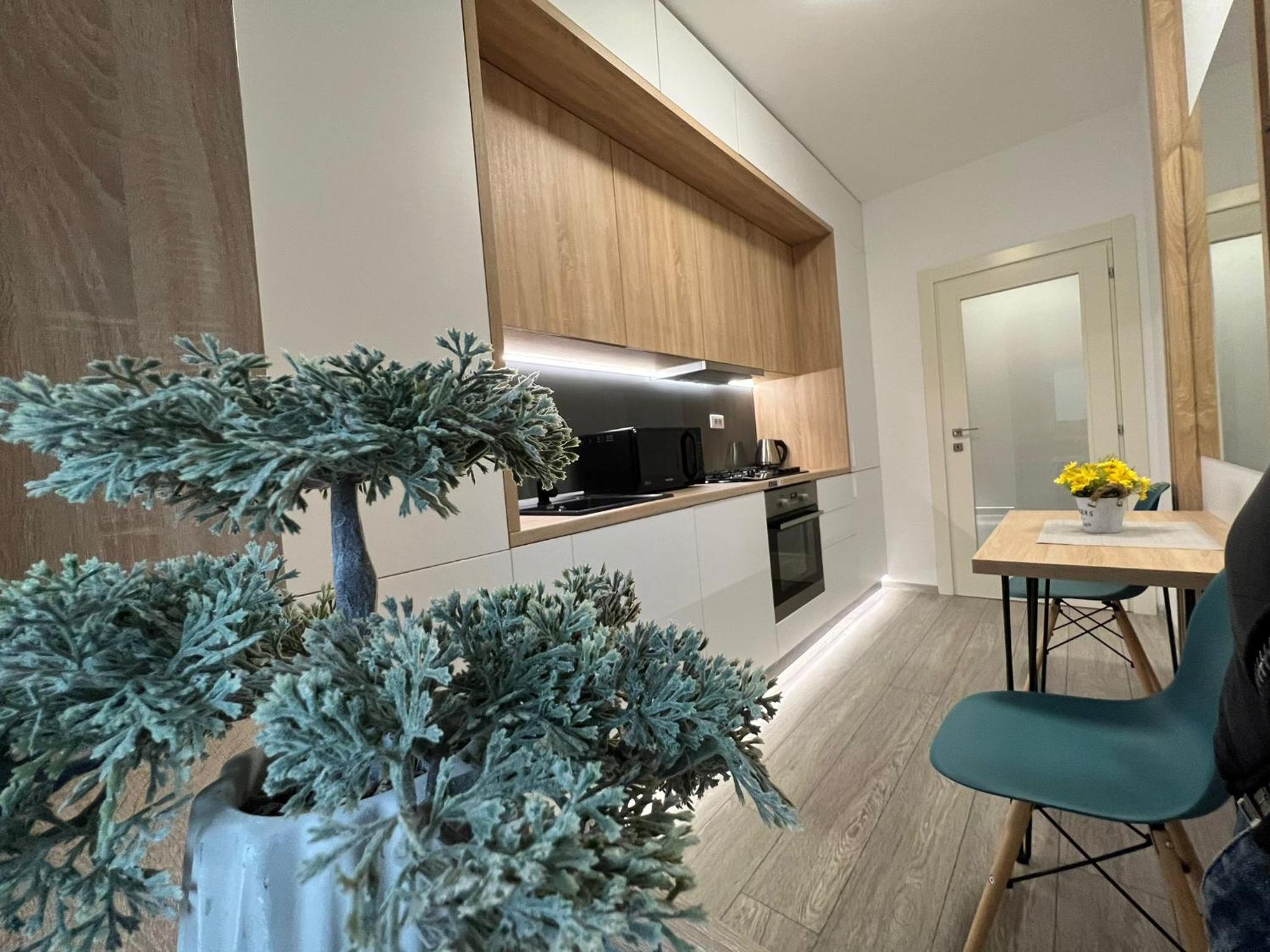 Perfect Host Palas Centru view 2