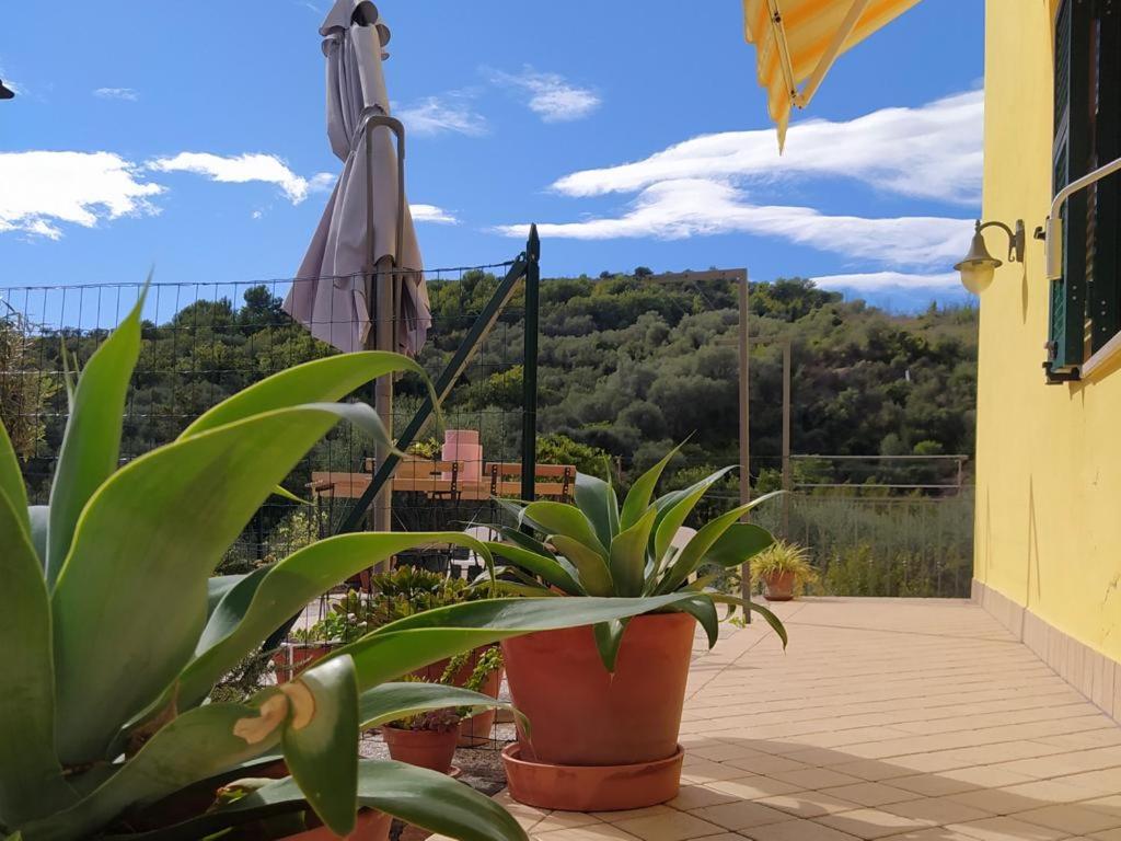 ULIVI - Charming 1 bedroom apartment with garden and parking view 4