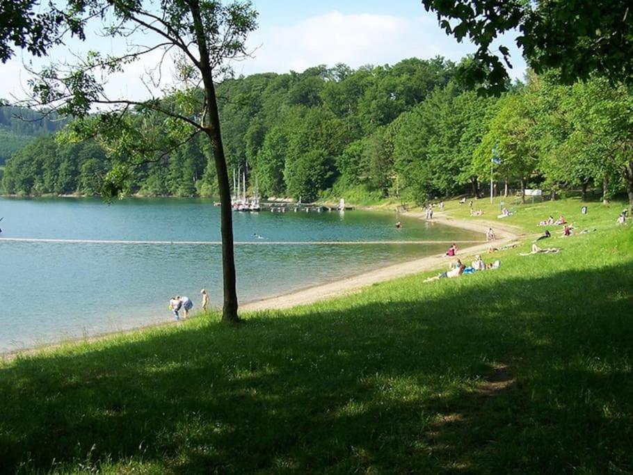 Ferienhaus LENA im Sauerland direkt am Hennesee