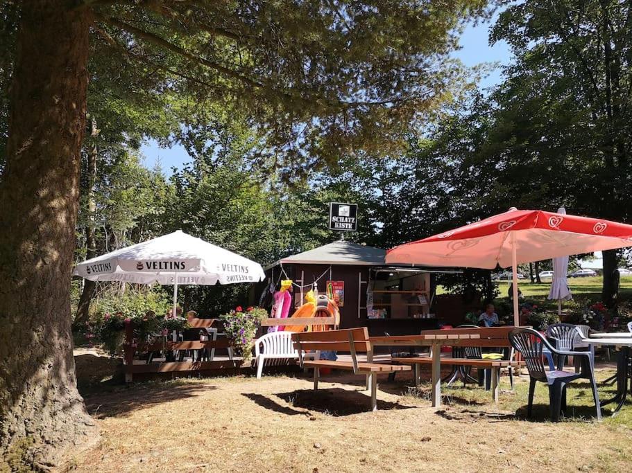 Ferienhaus LENA im Sauerland direkt am Hennesee