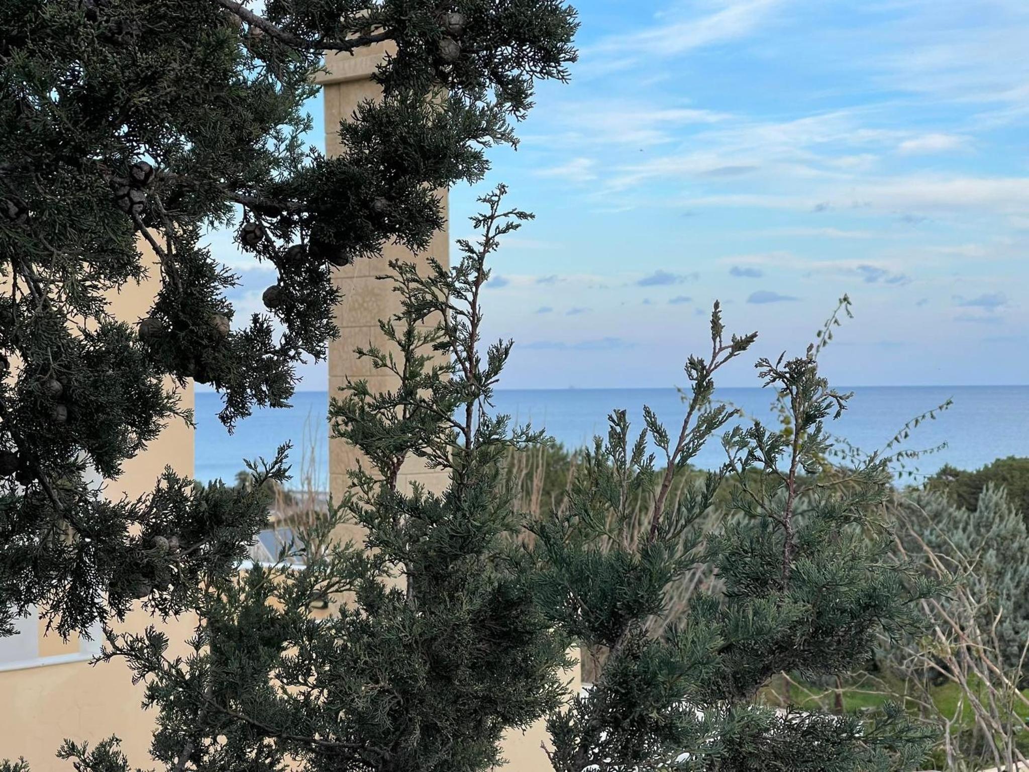 Beachfront Villa Socrates