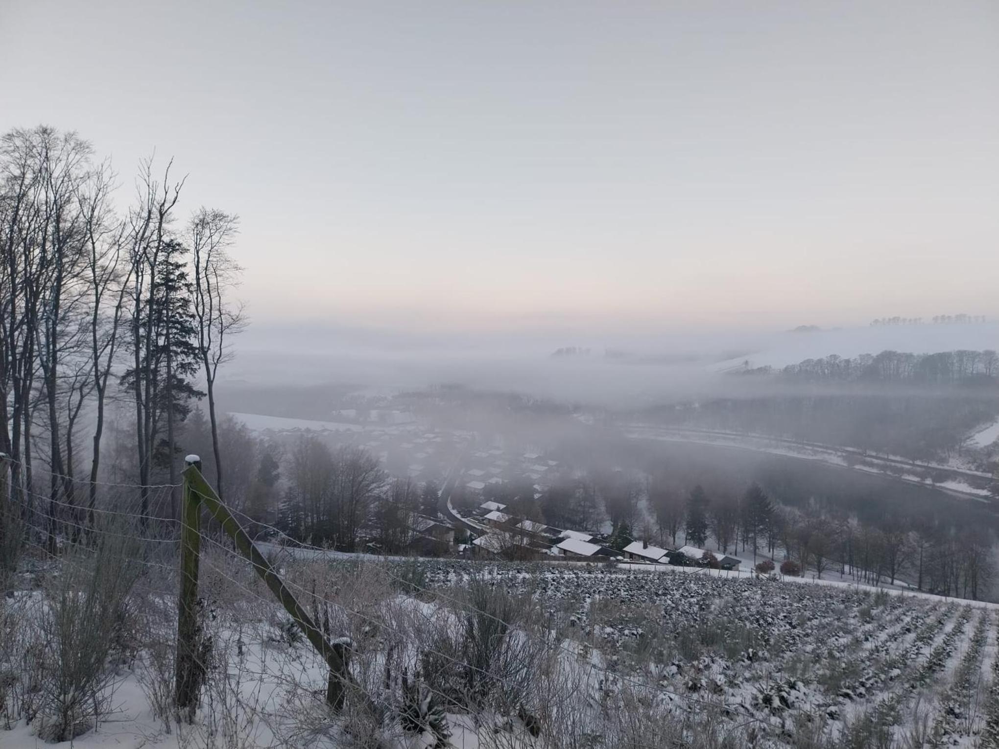 Ferienhaus LENA im Sauerland direkt am Hennesee