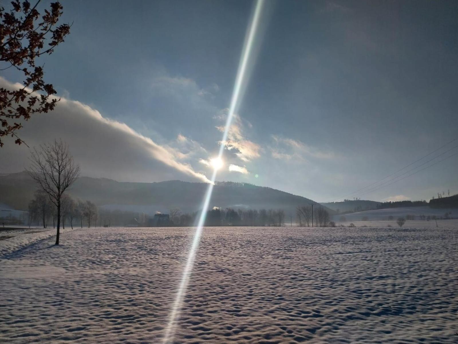 Ferienhaus LENA im Sauerland direkt am Hennesee