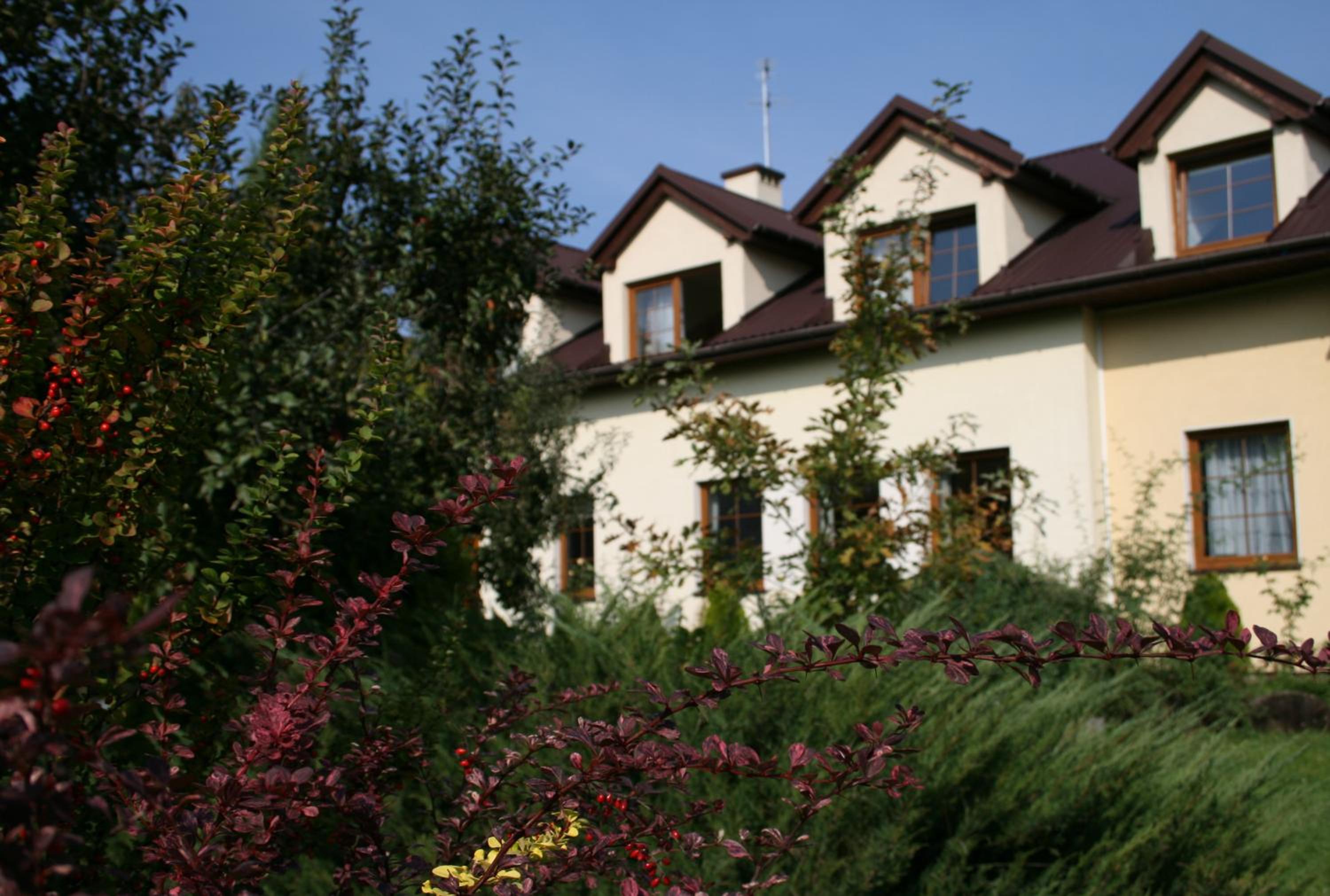 Photo 21