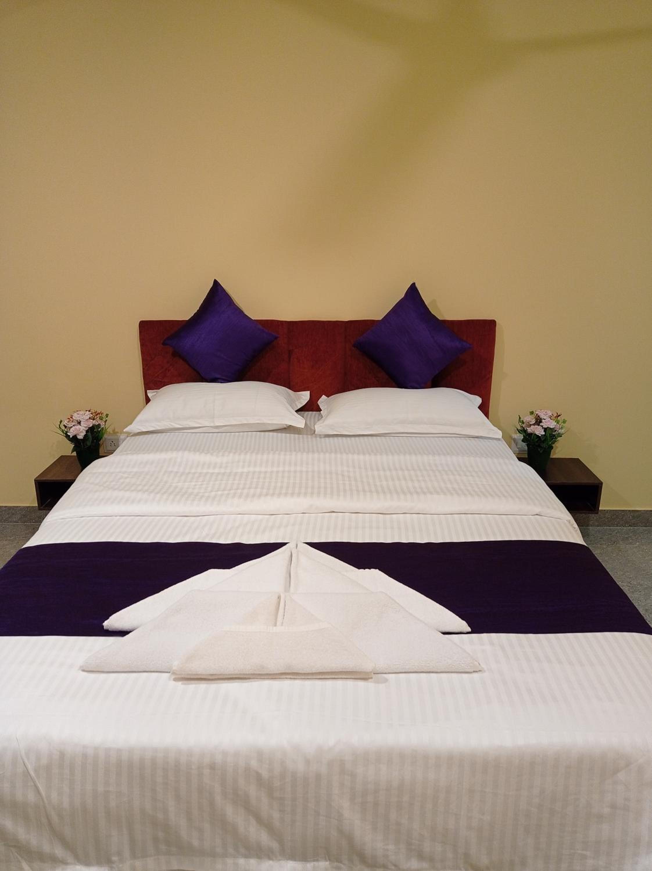 Brit's Palace Goa view 3