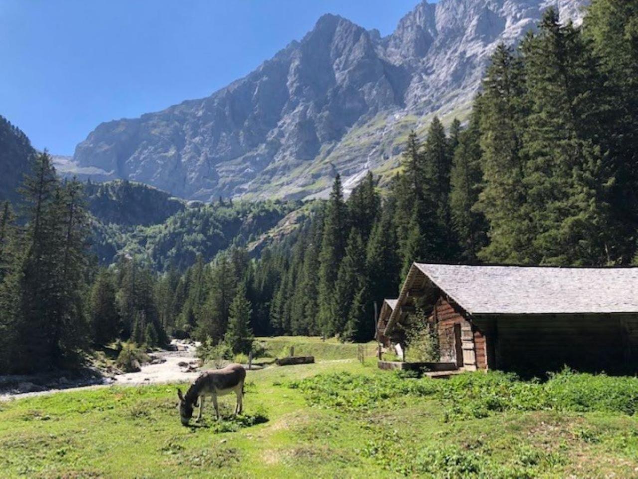 Komfortabel, Perfekte Lage, neue Wohnung, gratis P