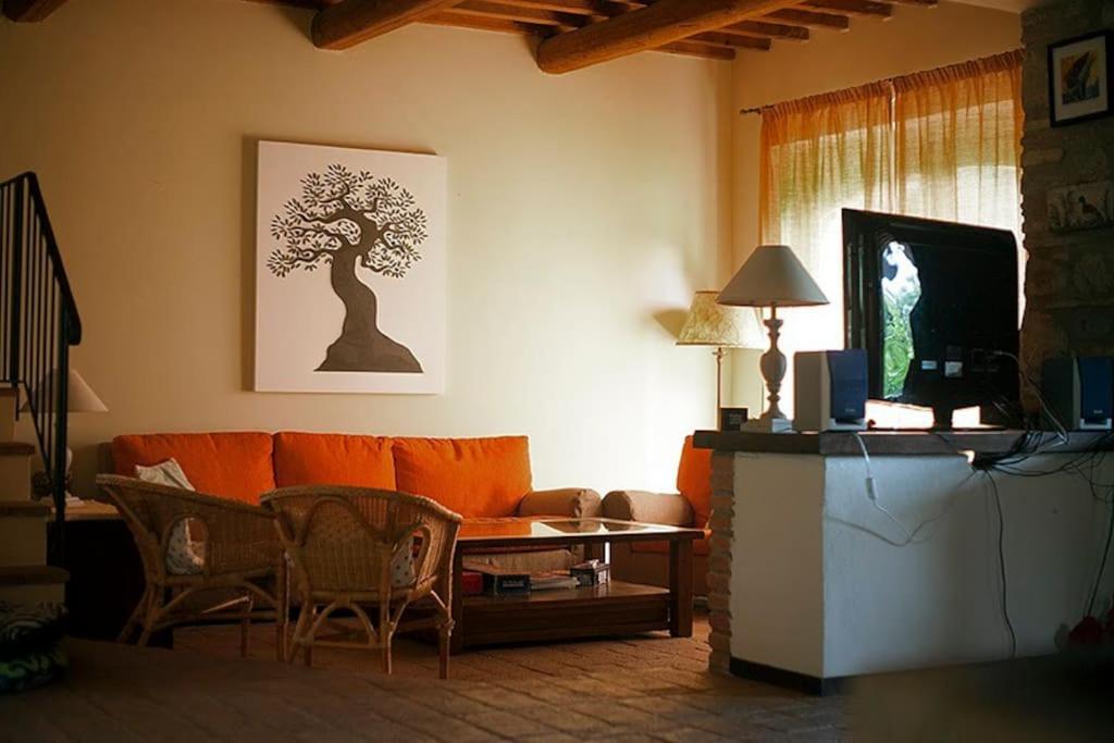 Villa I Camini - Outbuilding, dependance - Swimming pool - Garden - BBQ and fireplaces - Soccer field view 5