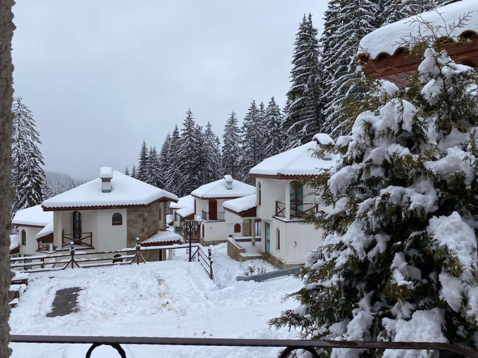 Pamporovo Cottage Savov
