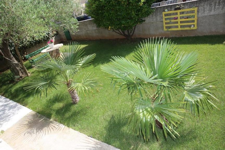 Photo 46