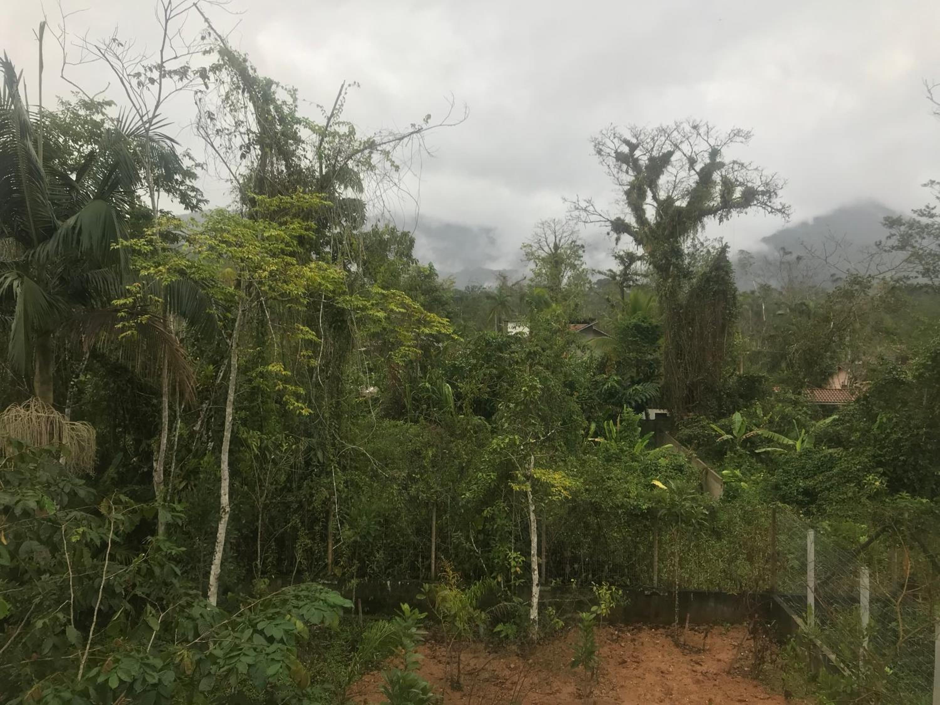 Vila Itamambuca Apto Passarinhos