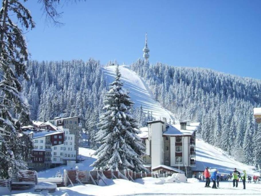 Cozy Apartment B35 in Grand Resort Pamporovo