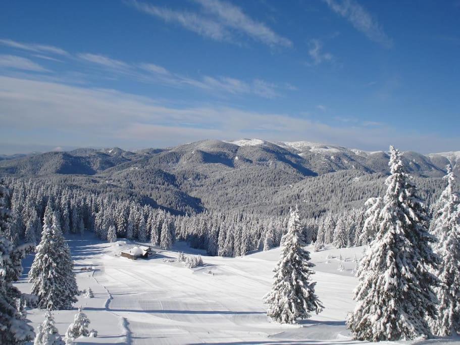 Cozy Apartment B35 in Grand Resort Pamporovo
