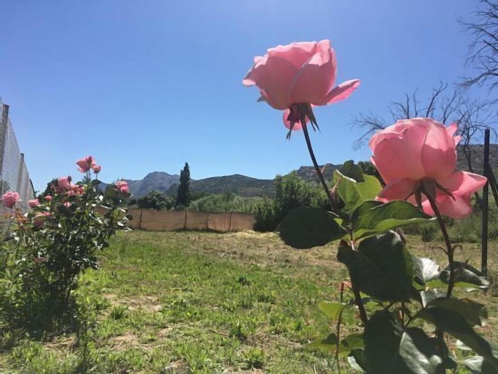 Casa Rural La Maestra