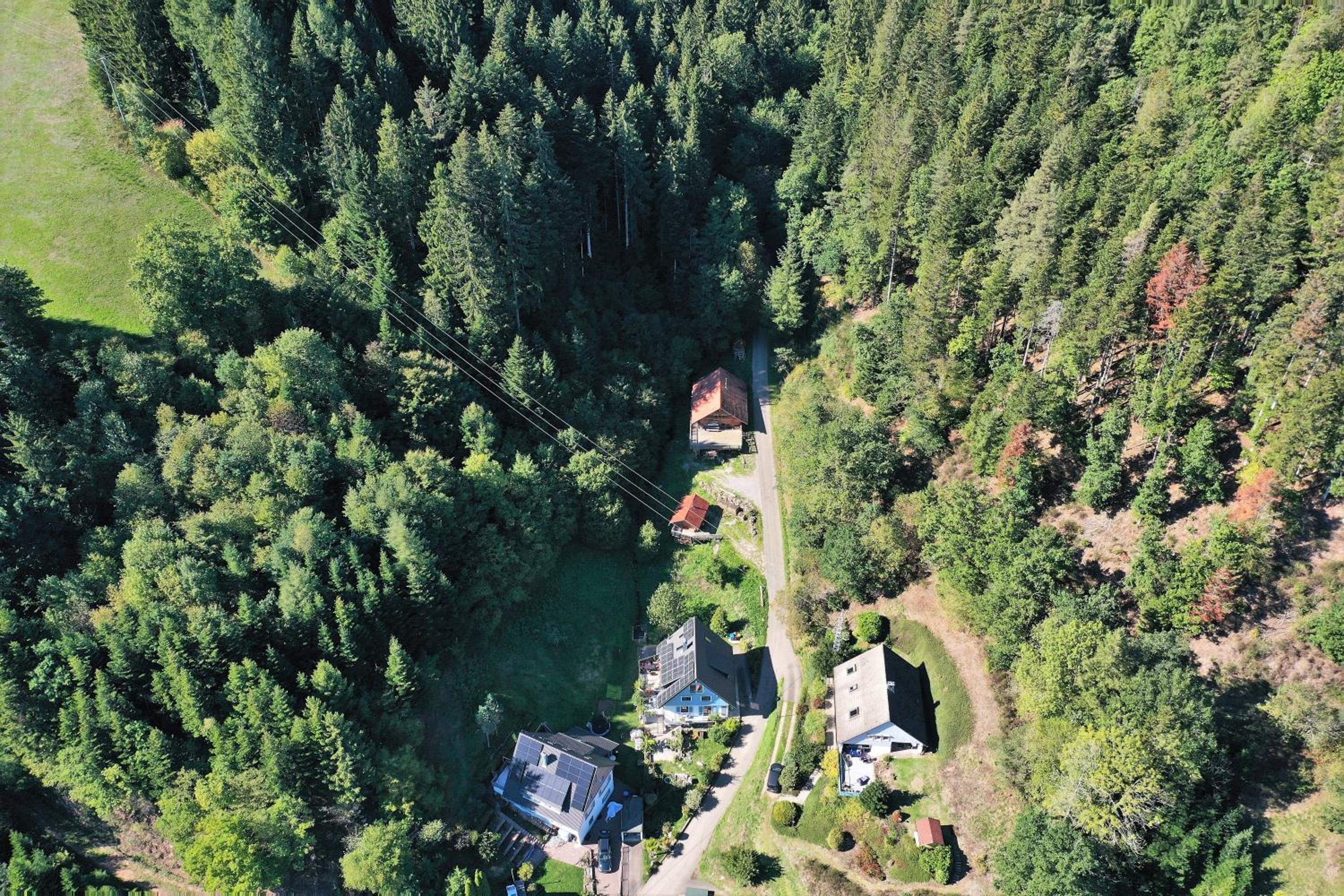 Schwarzwald Blockhaus - Sauna - Kamin - mit Bettwäsche und Handtücher