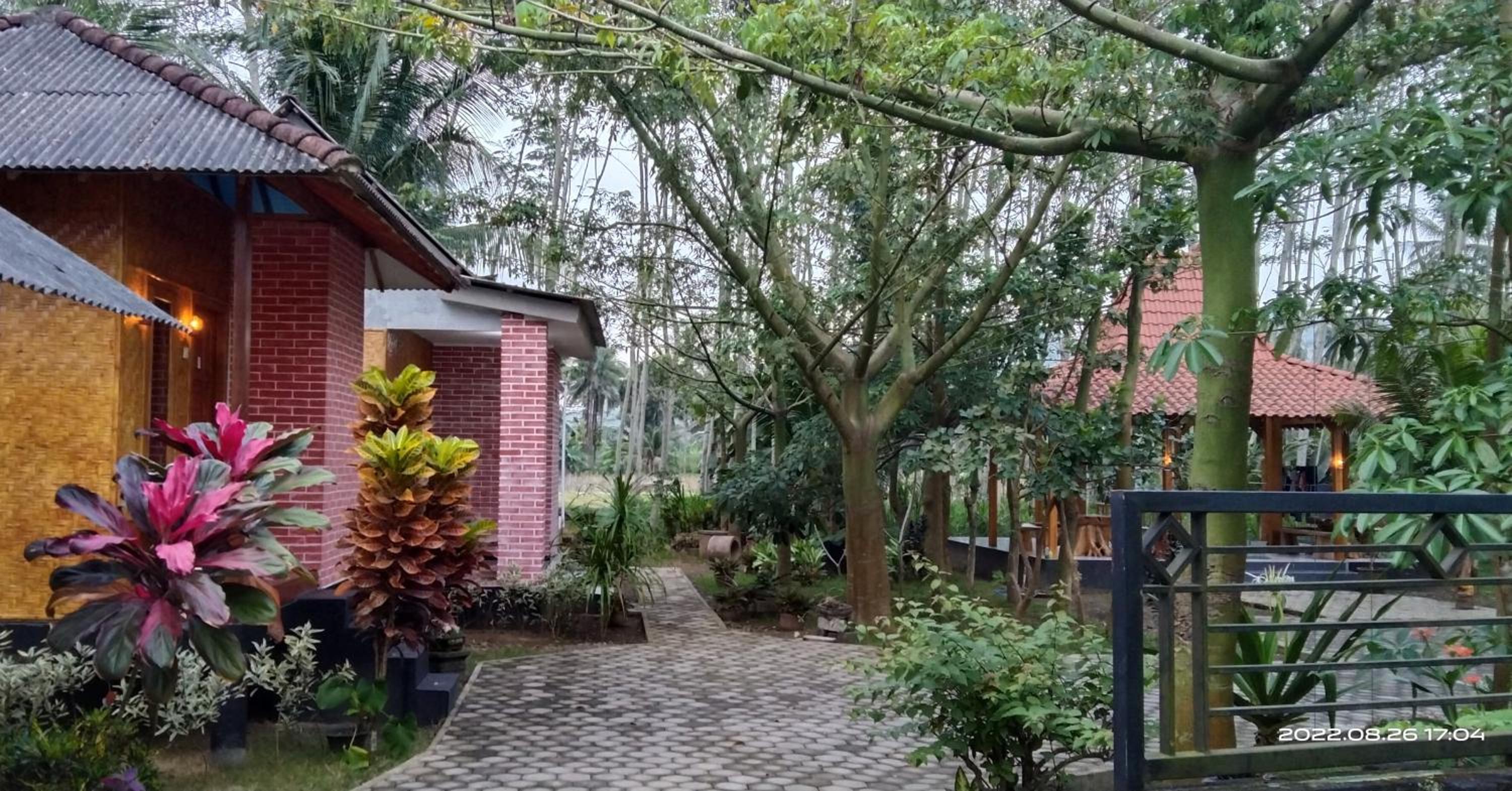 Adventure Turtle Homestay Meru Betiri