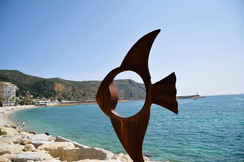 Wind Rose Study Xàbia