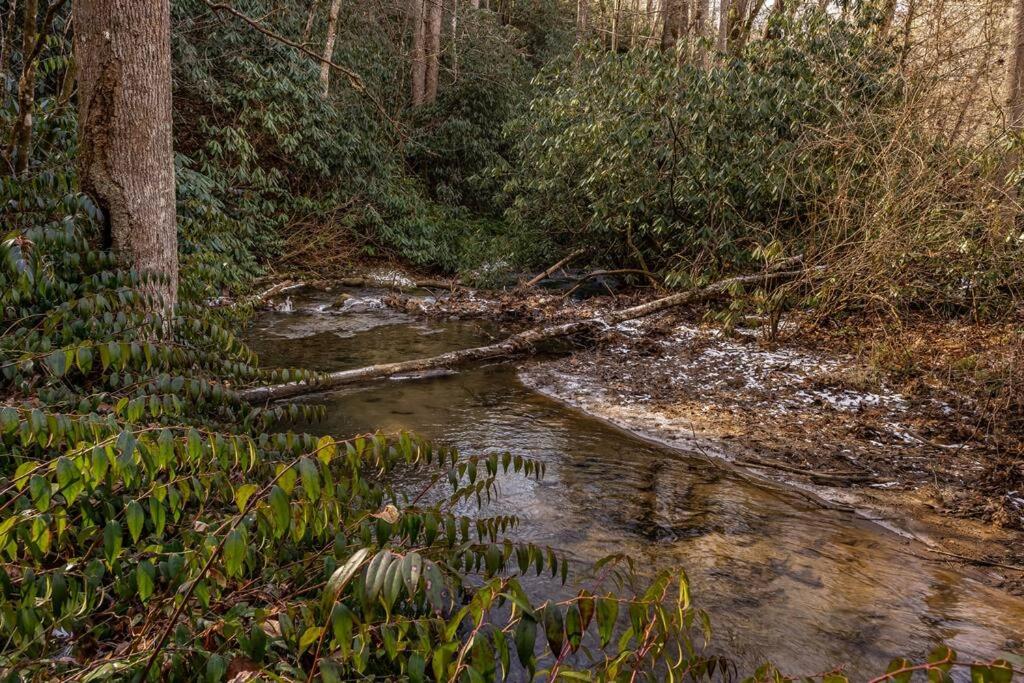 Honeymoon Creek