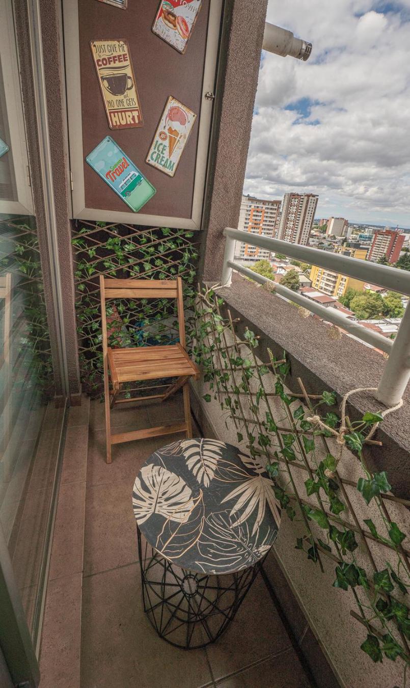 Departamento Temuco Centro view 2