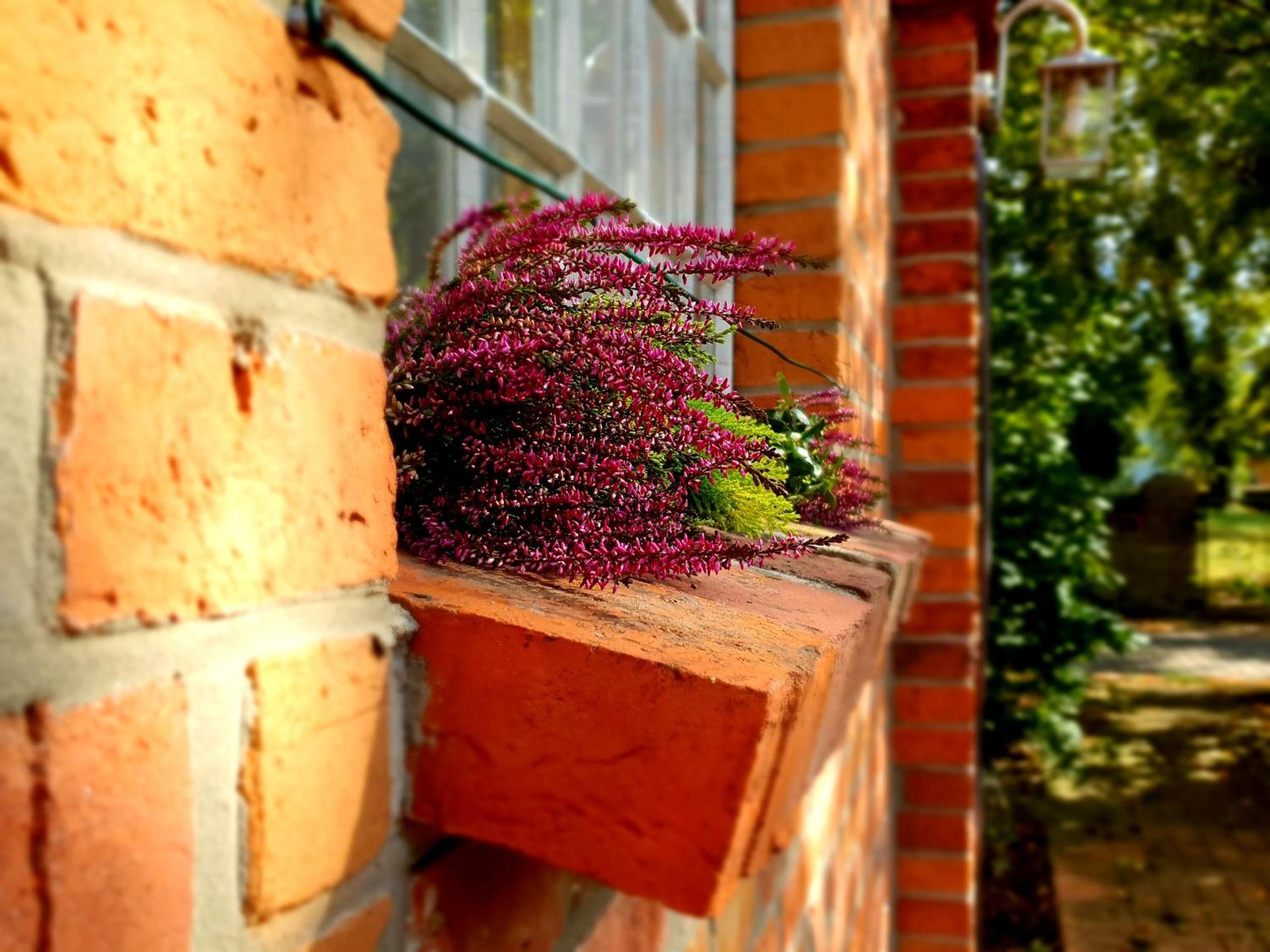other