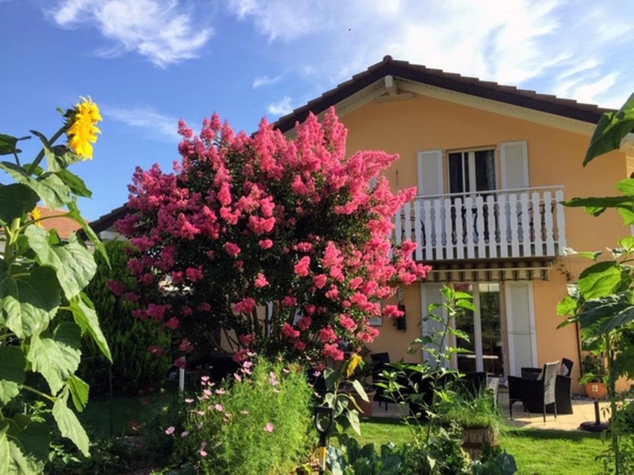 Hotel B&B Mon Rêve, Petit déjeuner BIO, Jacuzzi