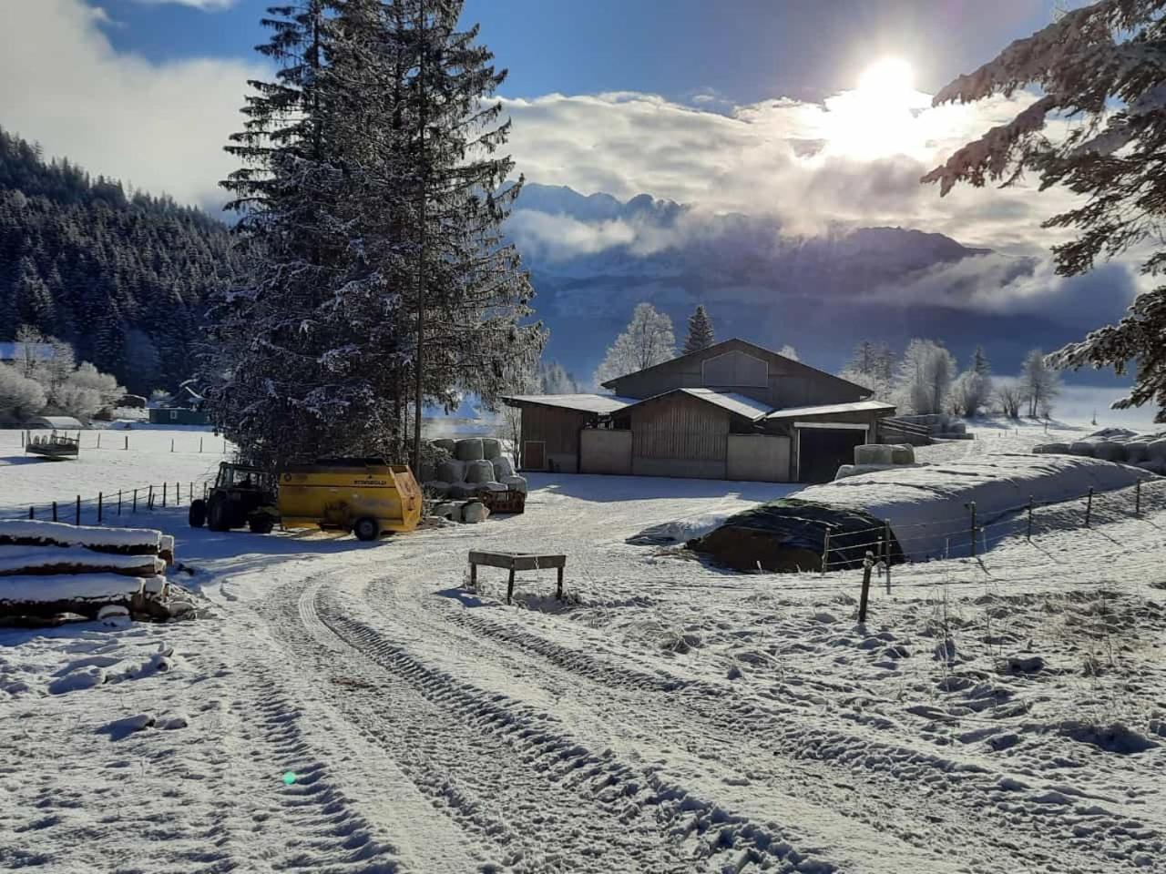 Urlaub am Bauernhof bei Familie Steinbrecher