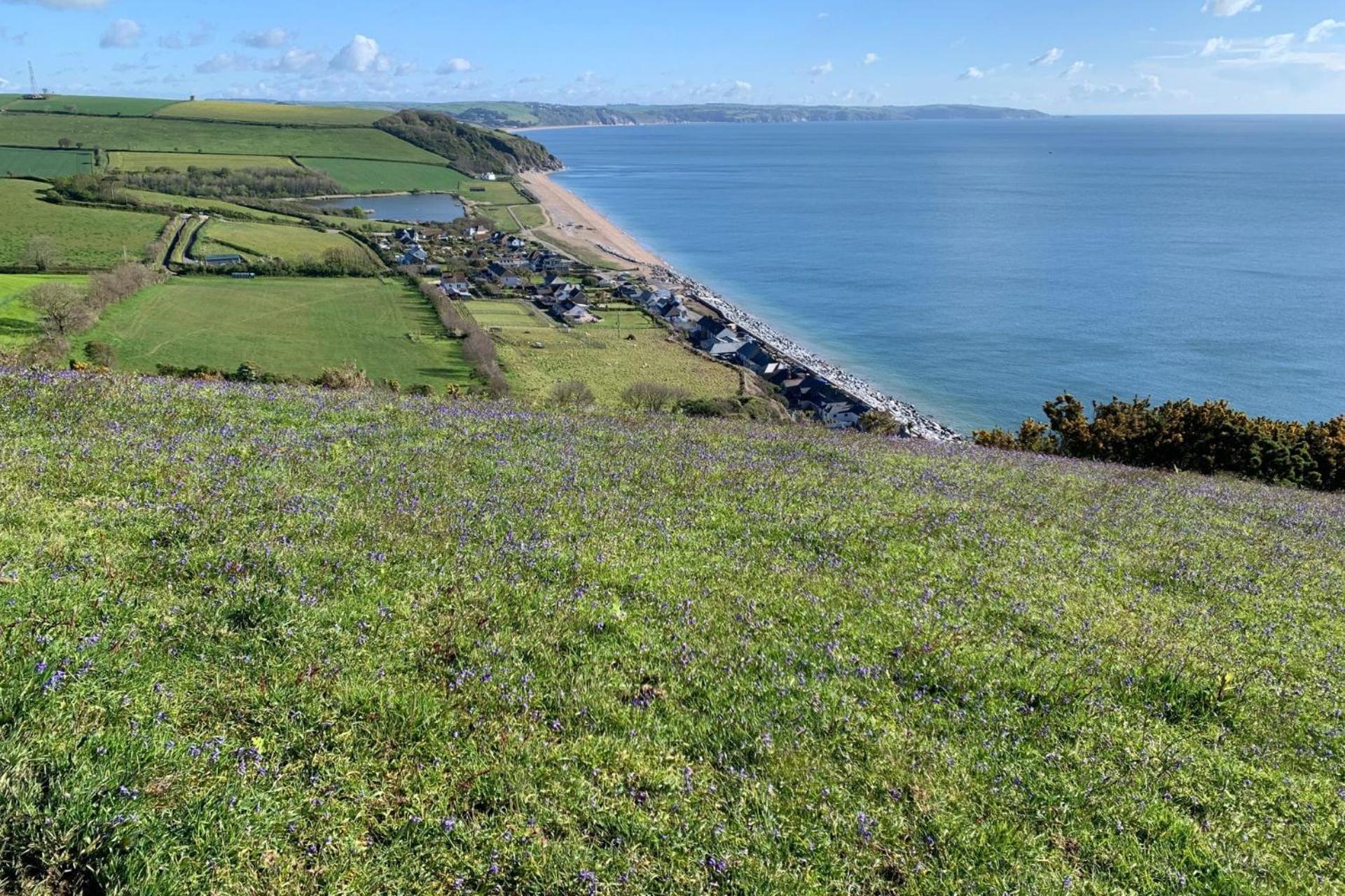 Beesands Vista