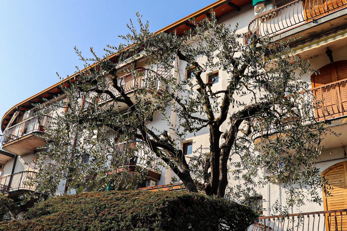 Casa Mirra