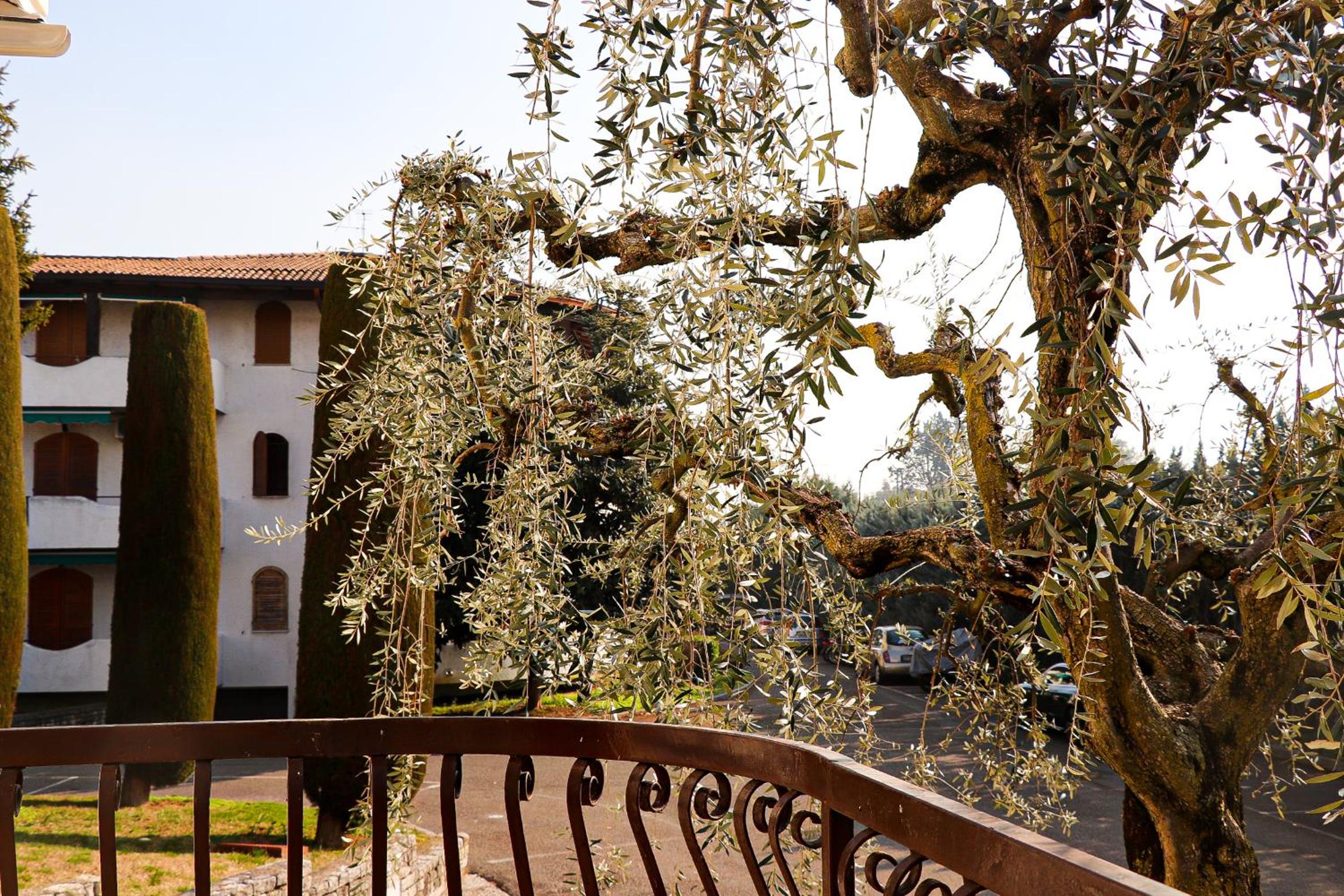 Casa Mirra