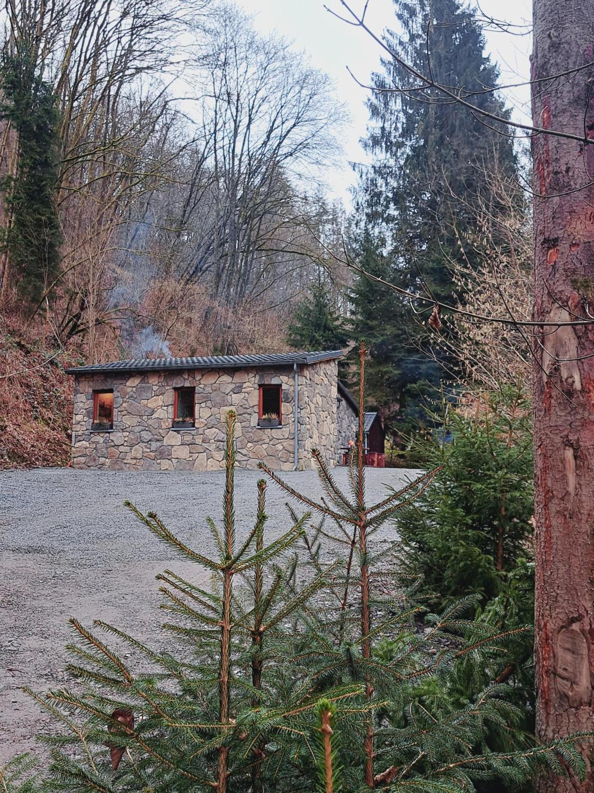 Le Ri de Vâ Maboge La Roche en Ardenne