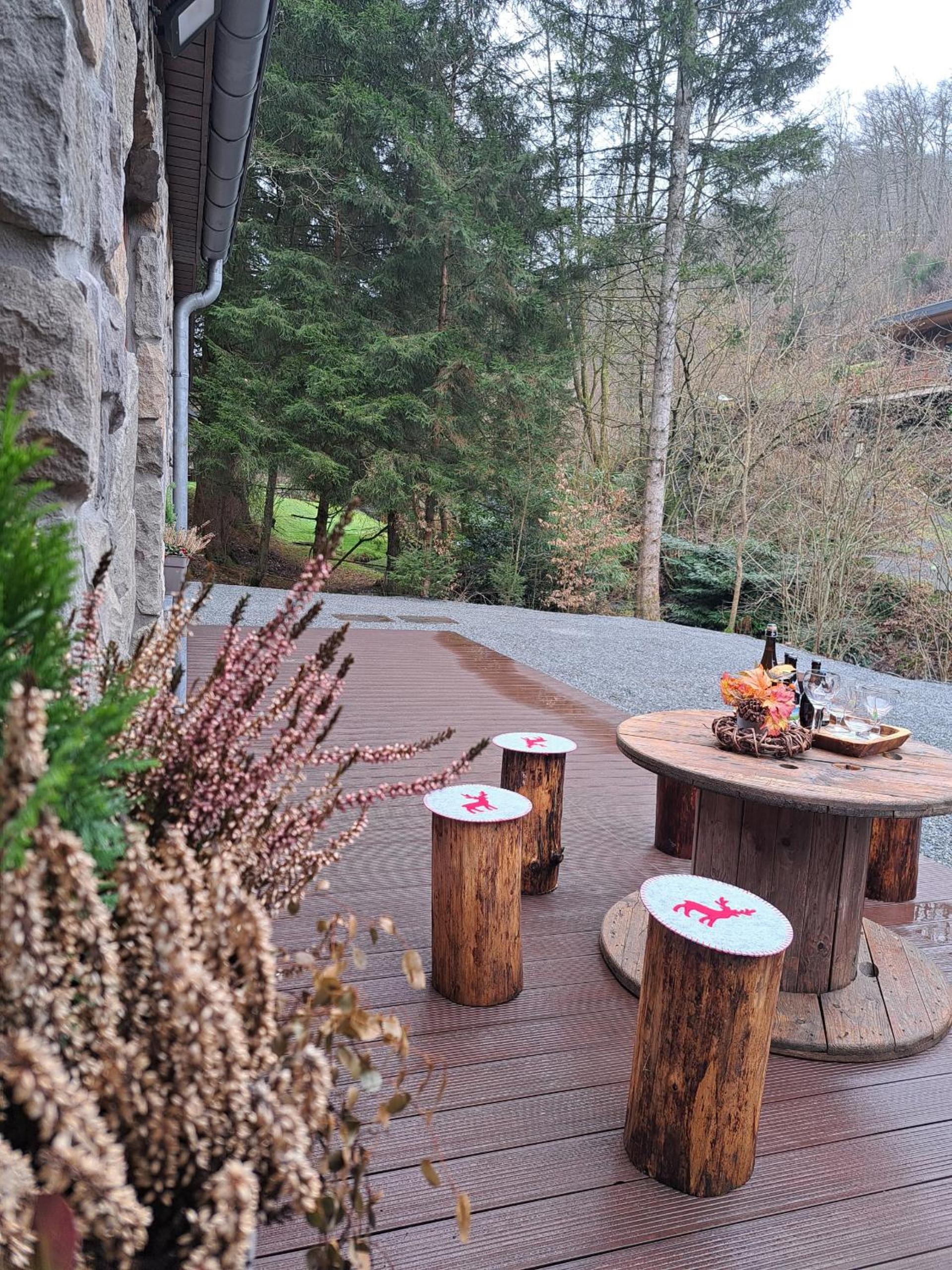 Le Ri de Vâ Maboge La Roche en Ardenne