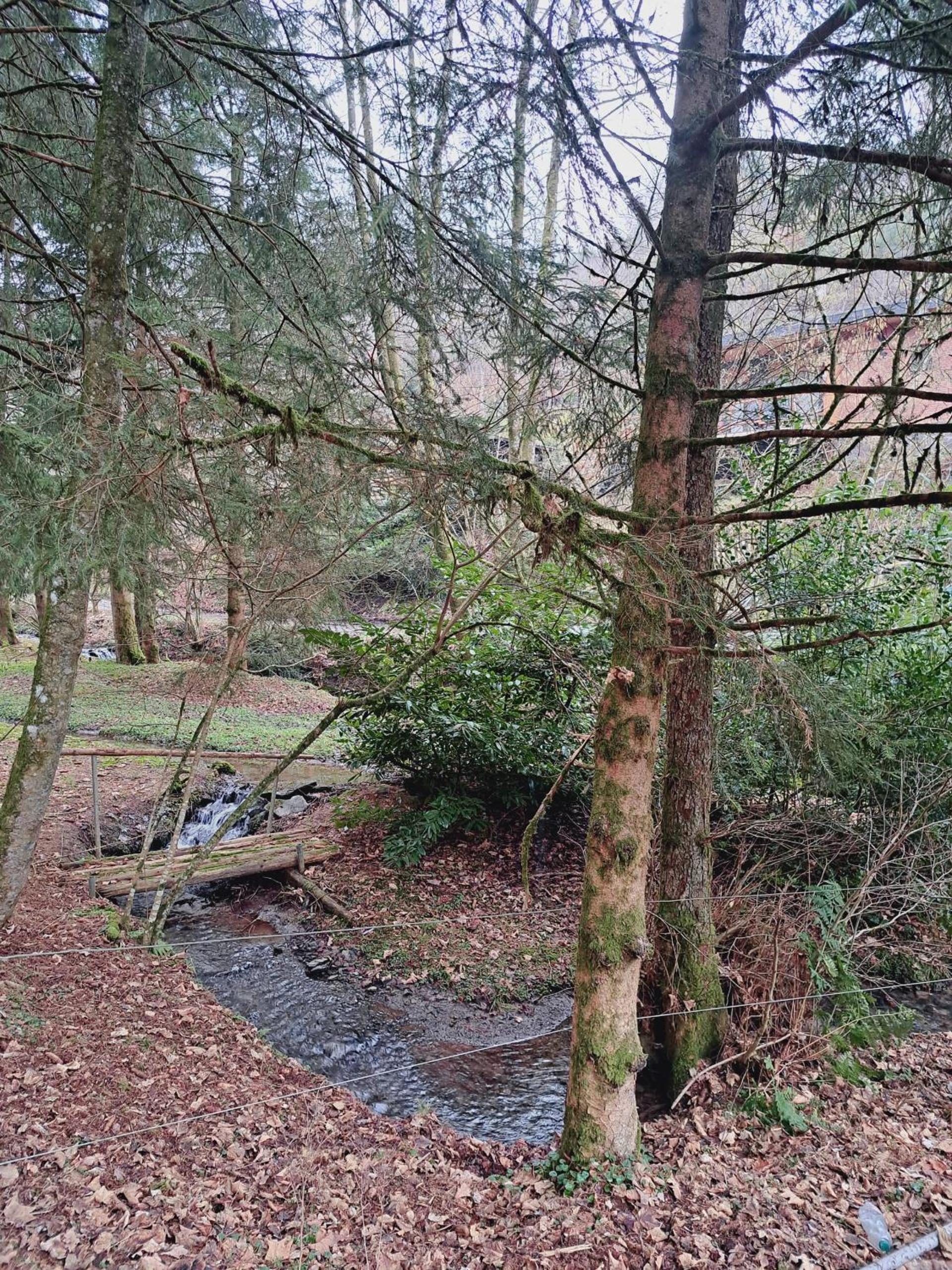Le Ri de Vâ Maboge La Roche en Ardenne