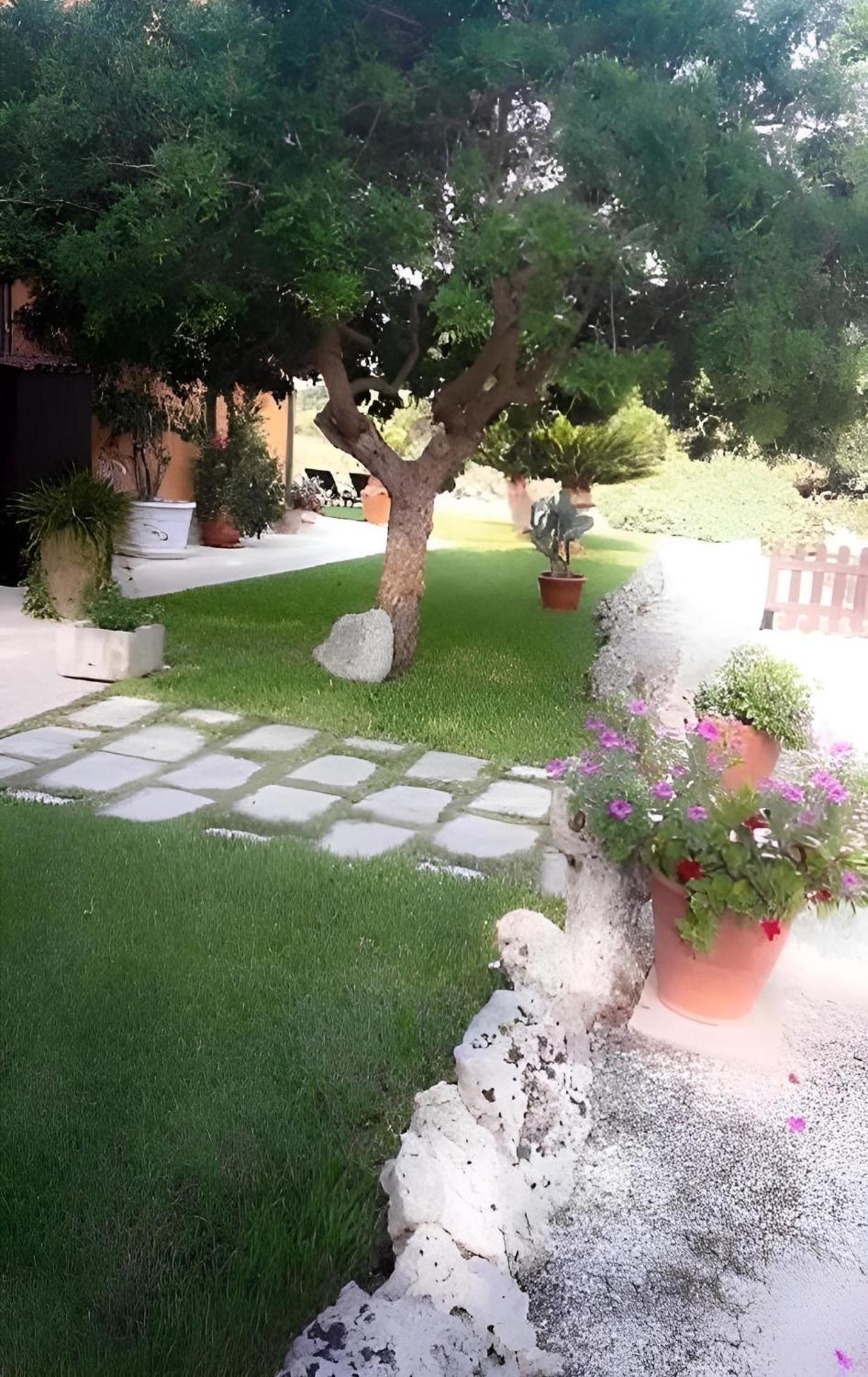 Sole del Mediterraneo