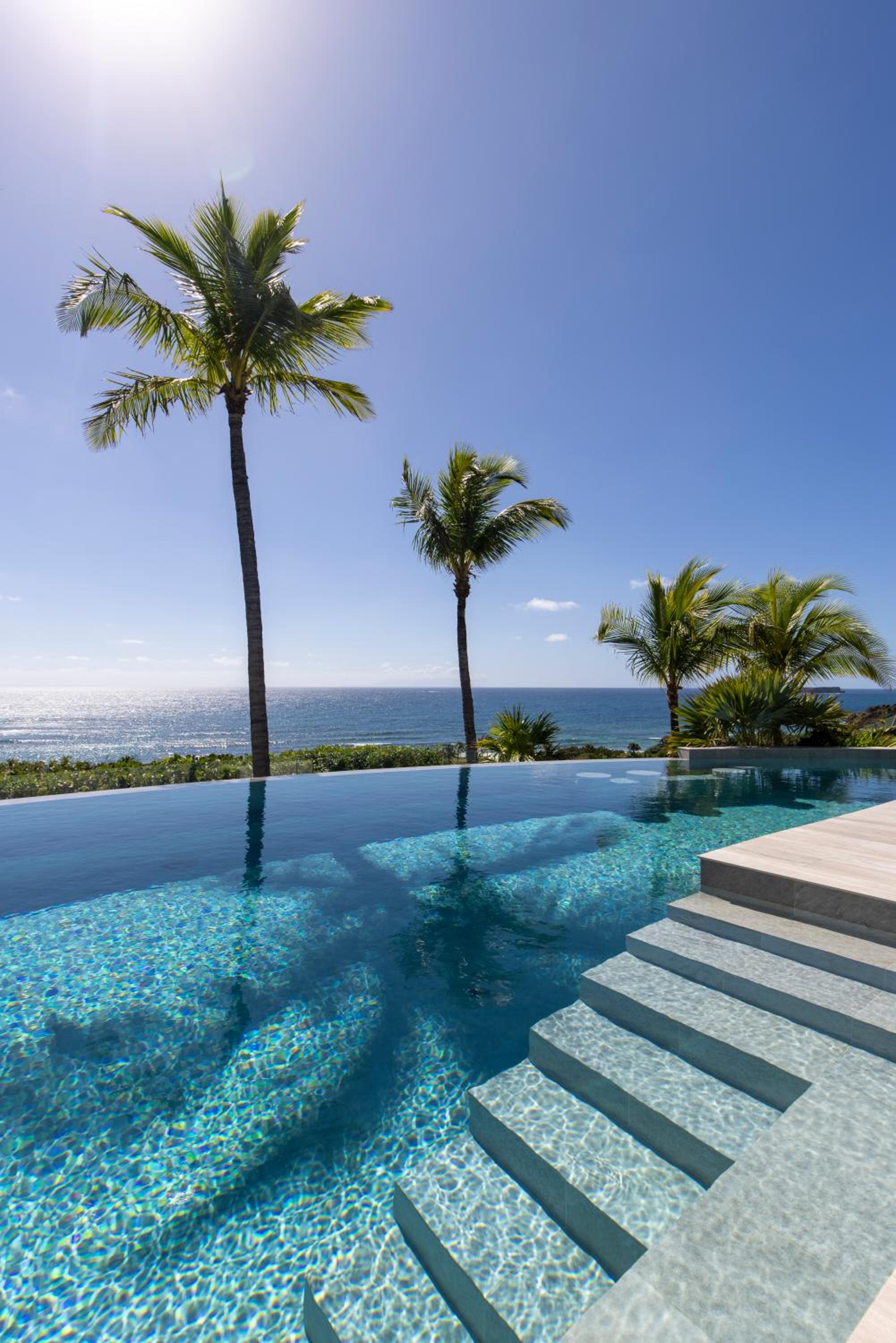 Pool & Wellness