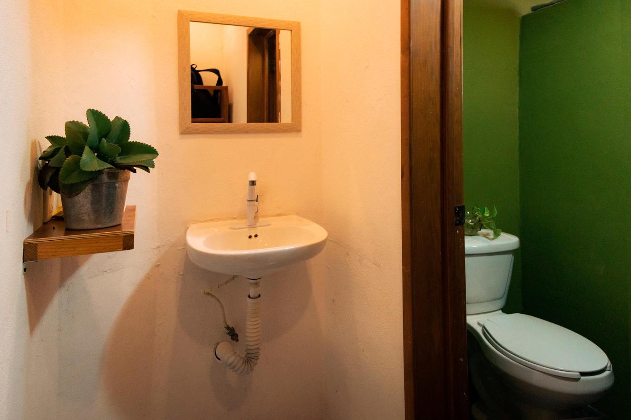 Hostal Cuca Macuca view 5