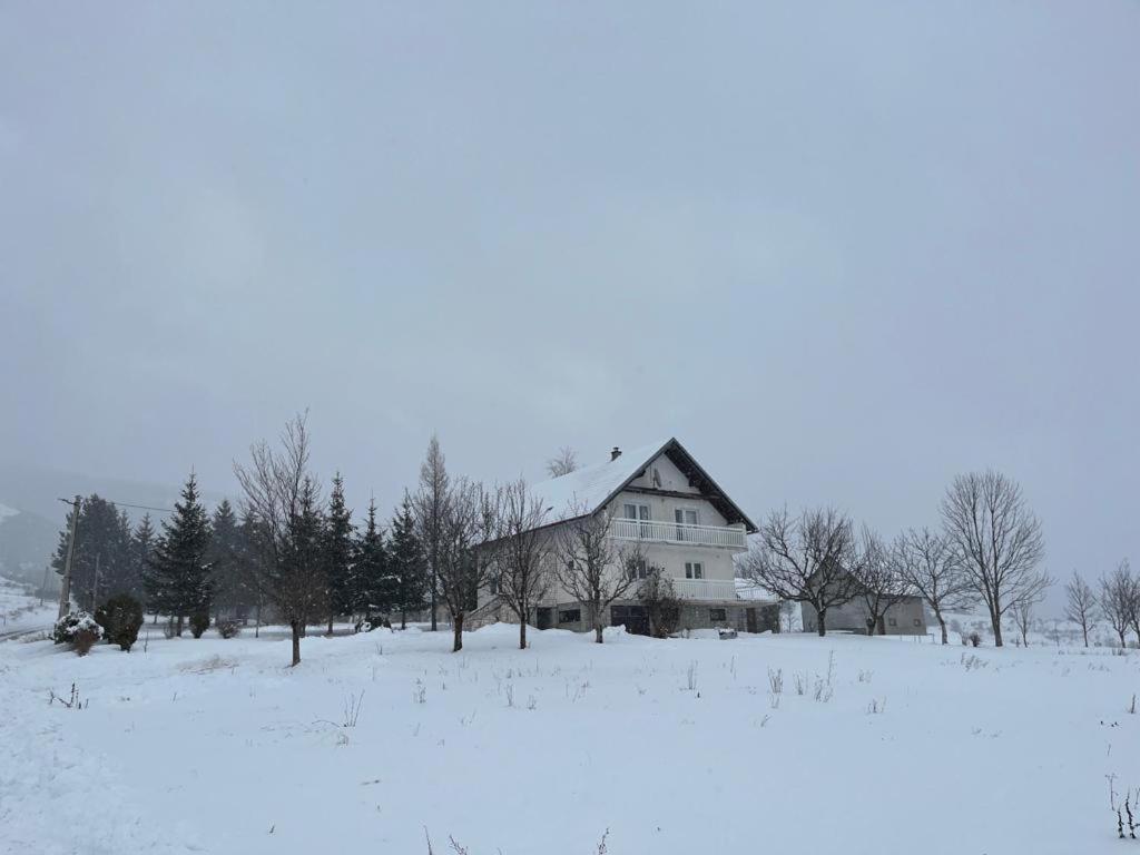 Apartman Herceg