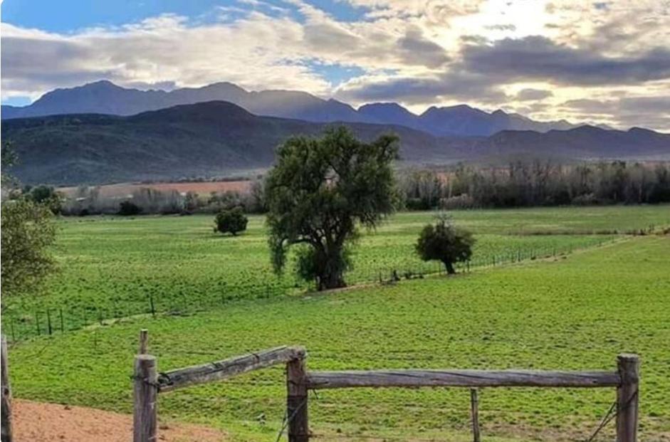Vredelus Farm Stay view 4