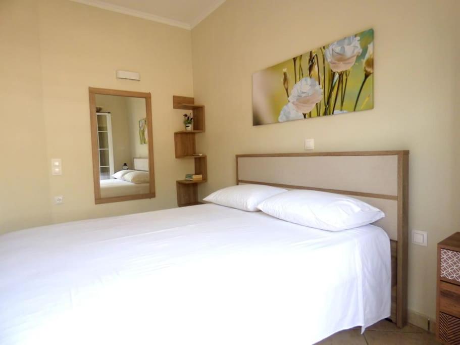 Agios Leon Apartment 2 view 2