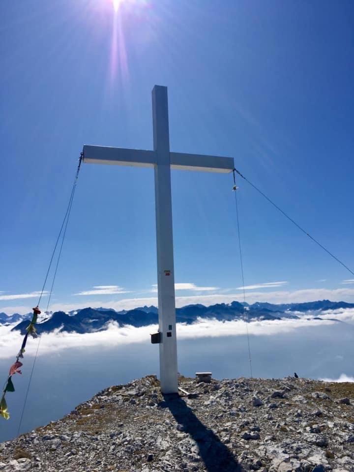 Alps 3000-2