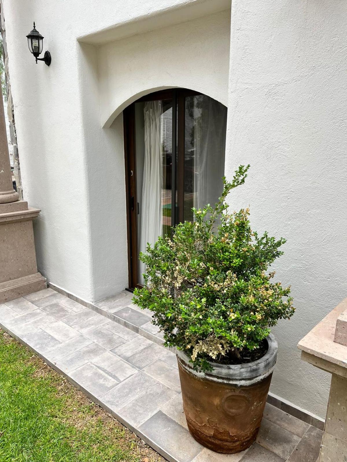 Suites Casa Mateo San Miguel Allende view 5