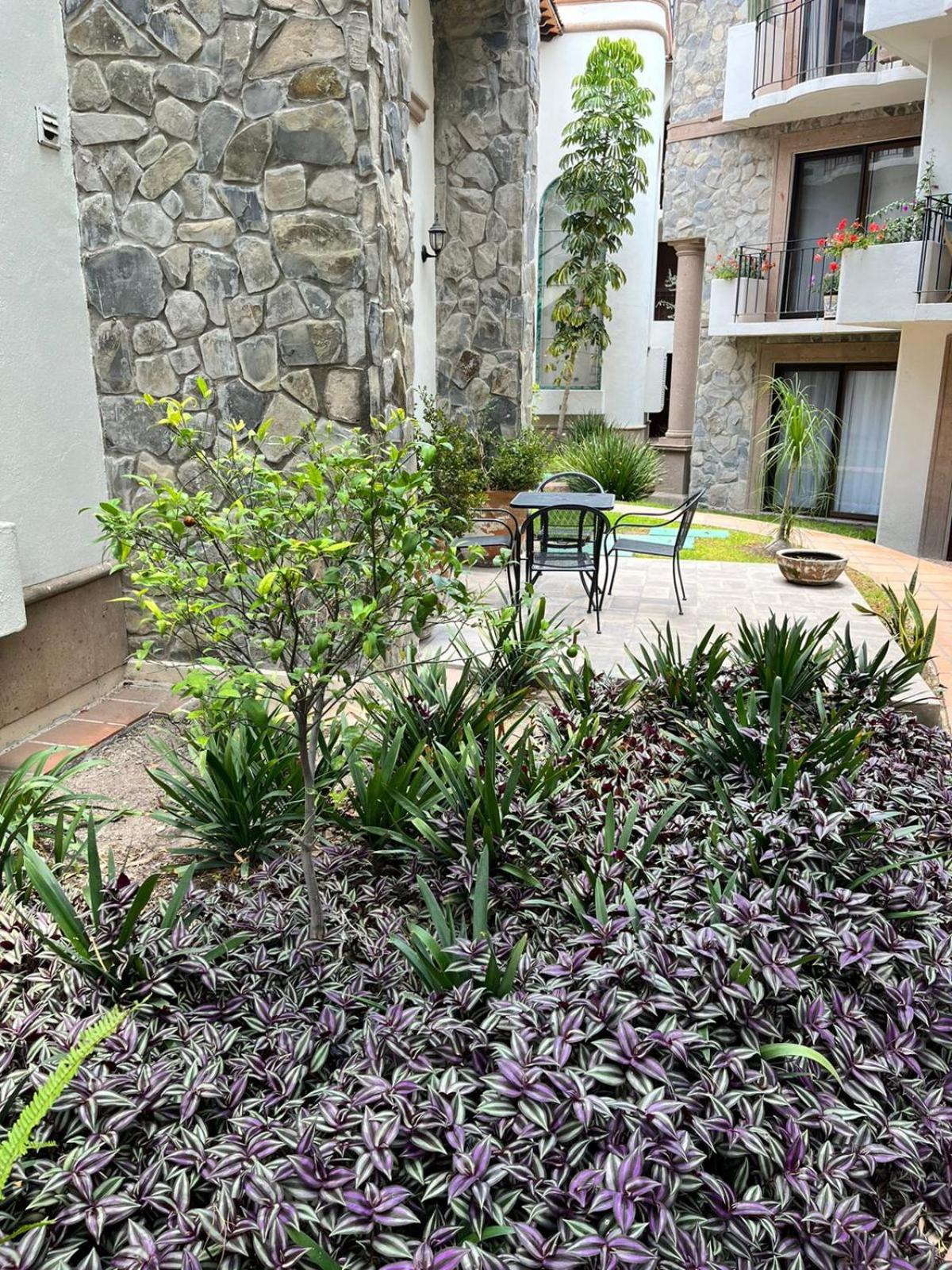 Photo 20