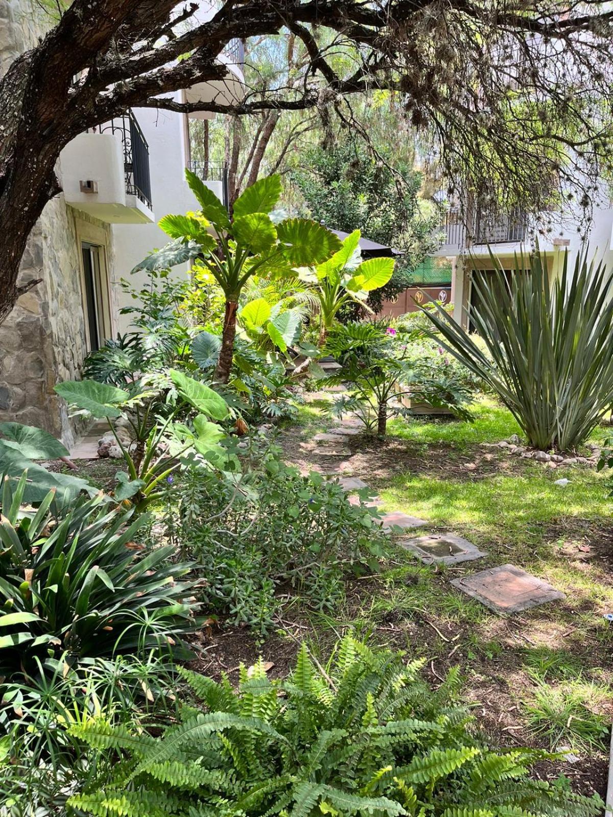 Photo 26