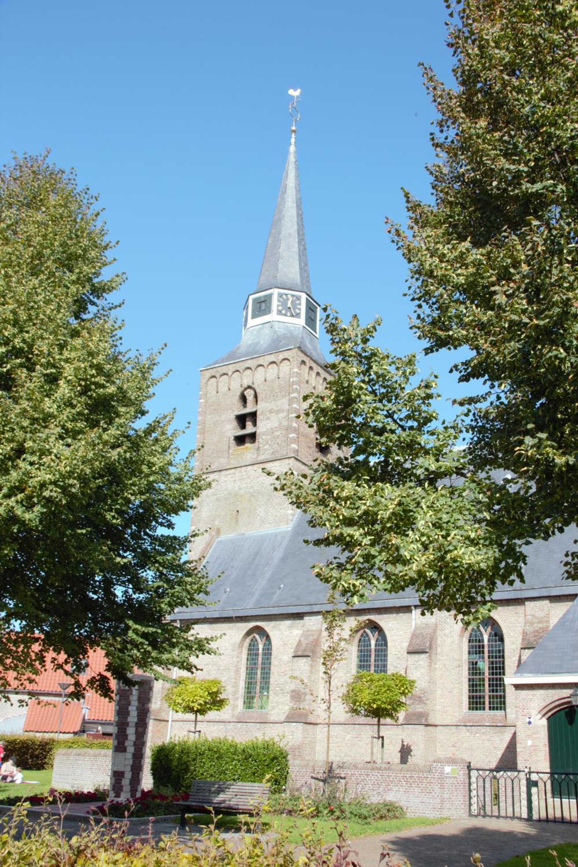 Photo 11