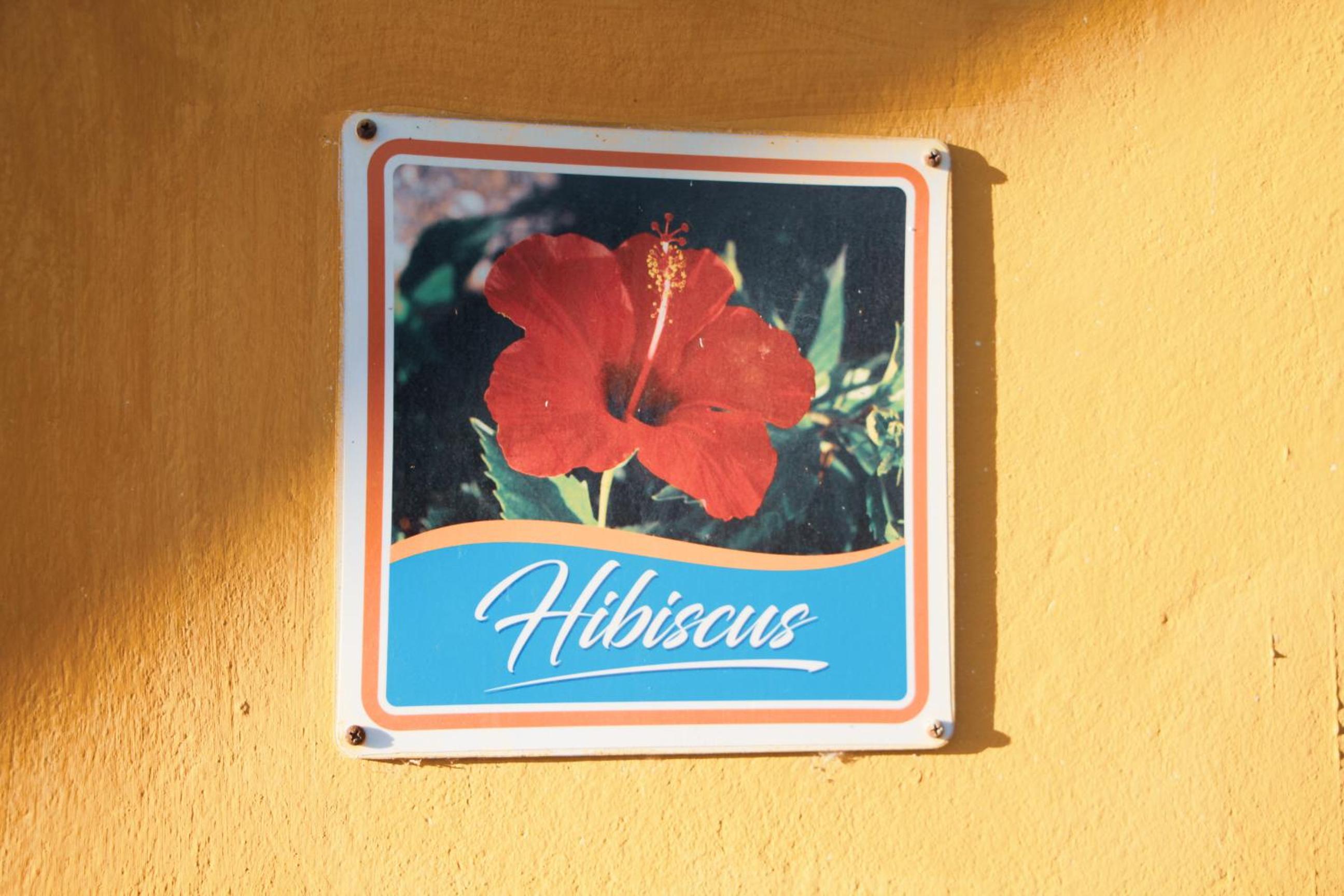 Buttercup Cottage Apartments