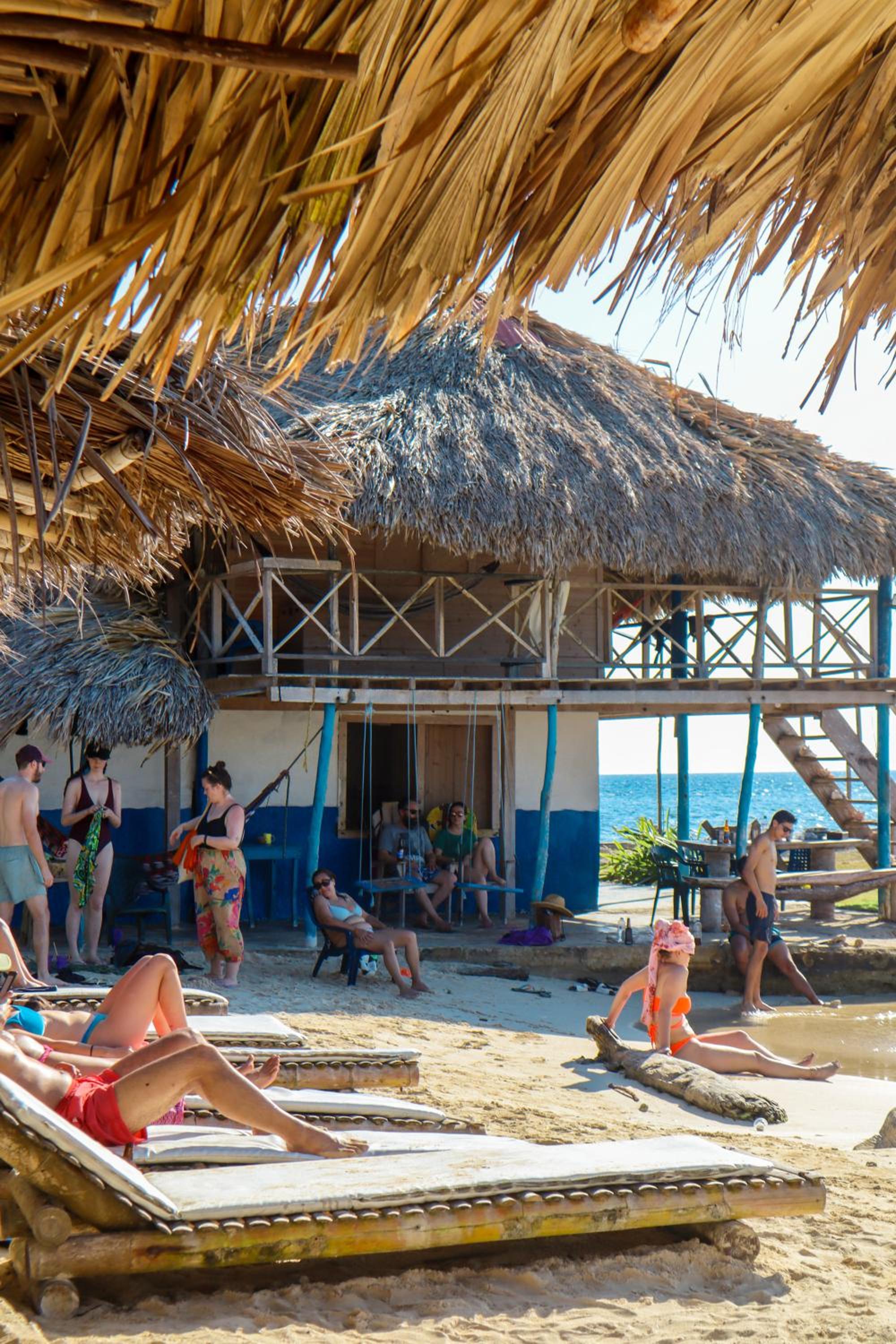 Isla Múcura Dahlandia