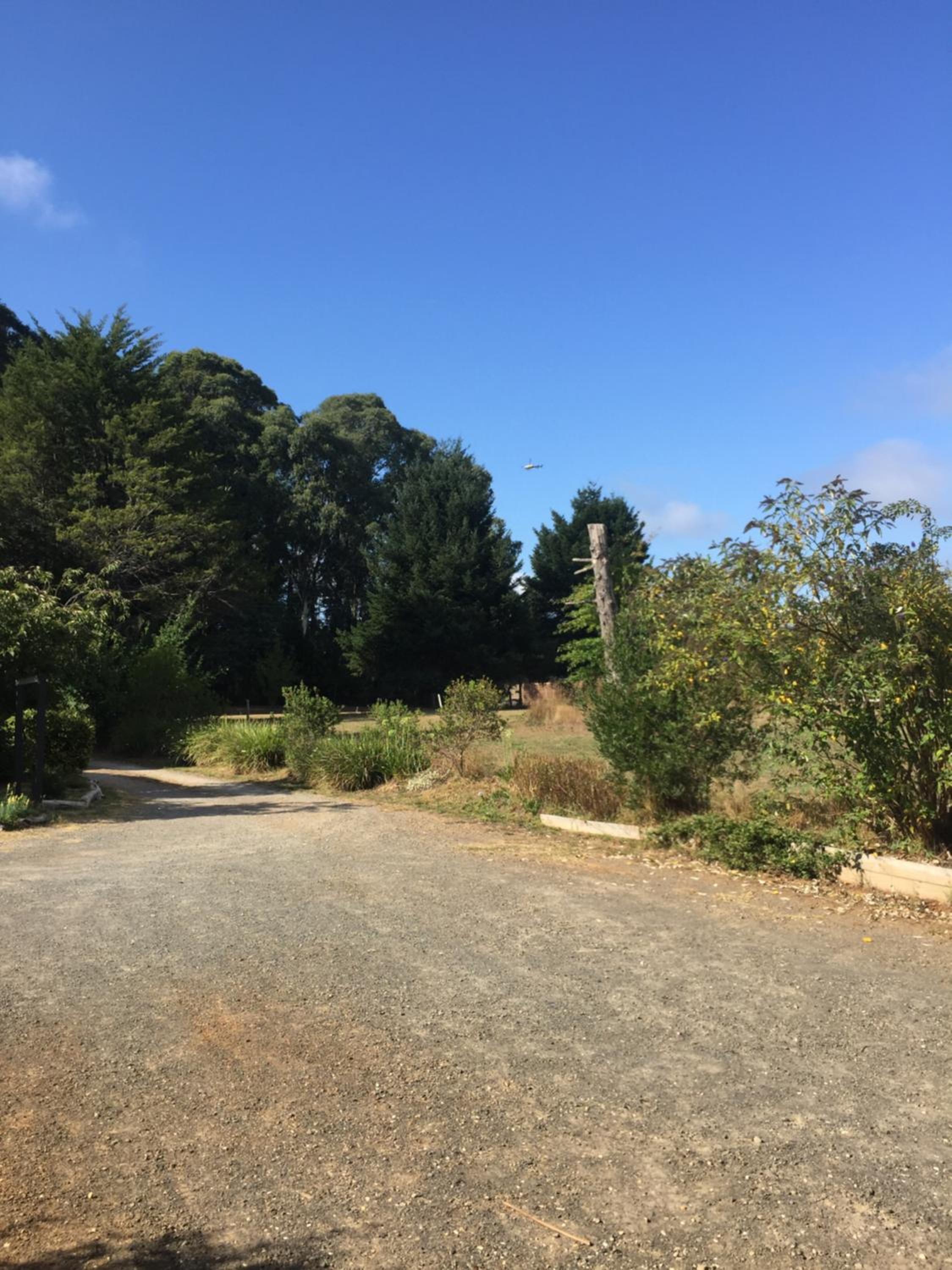 Oaktree Guest House