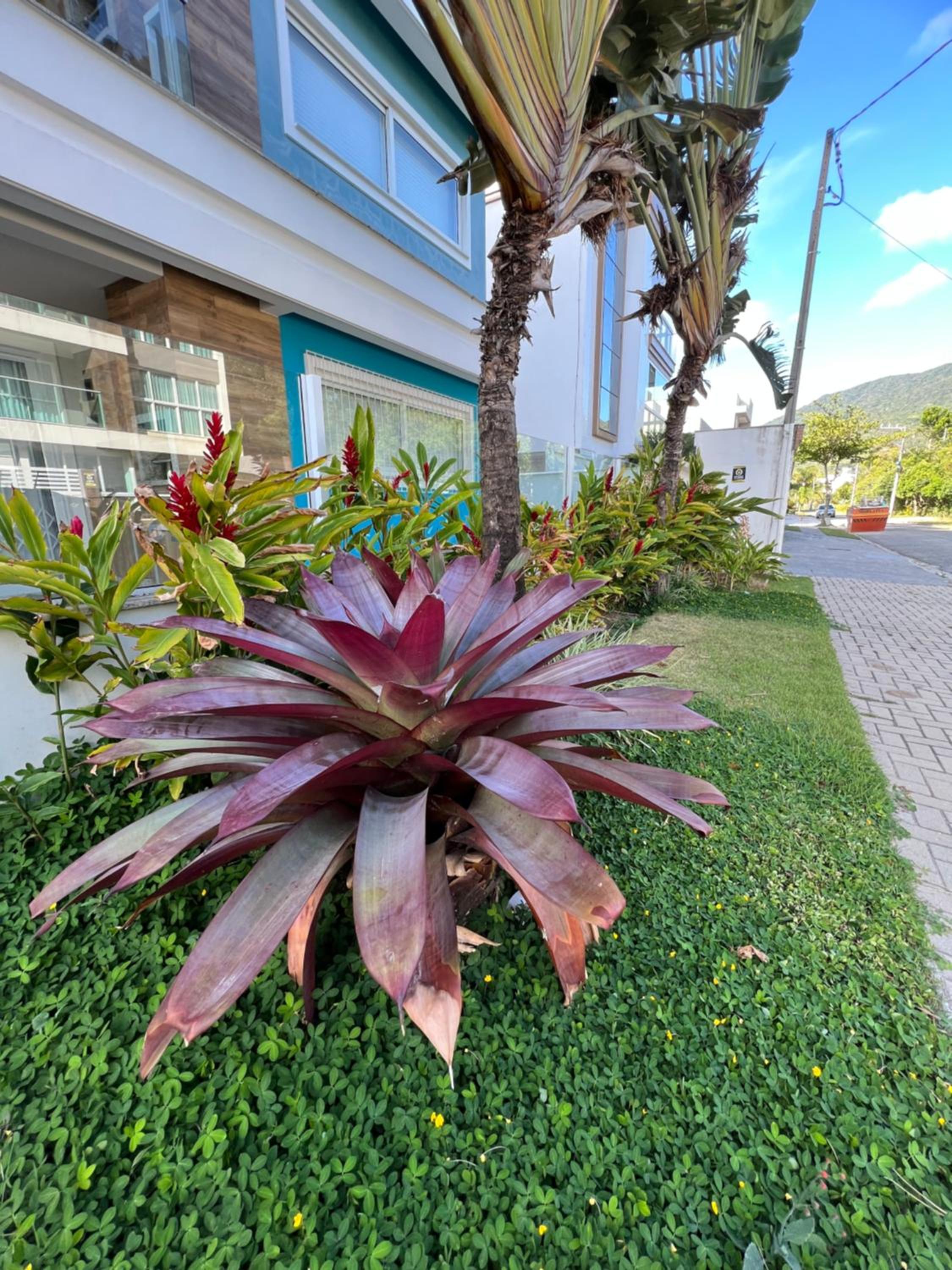 Apto Praia de Palmas