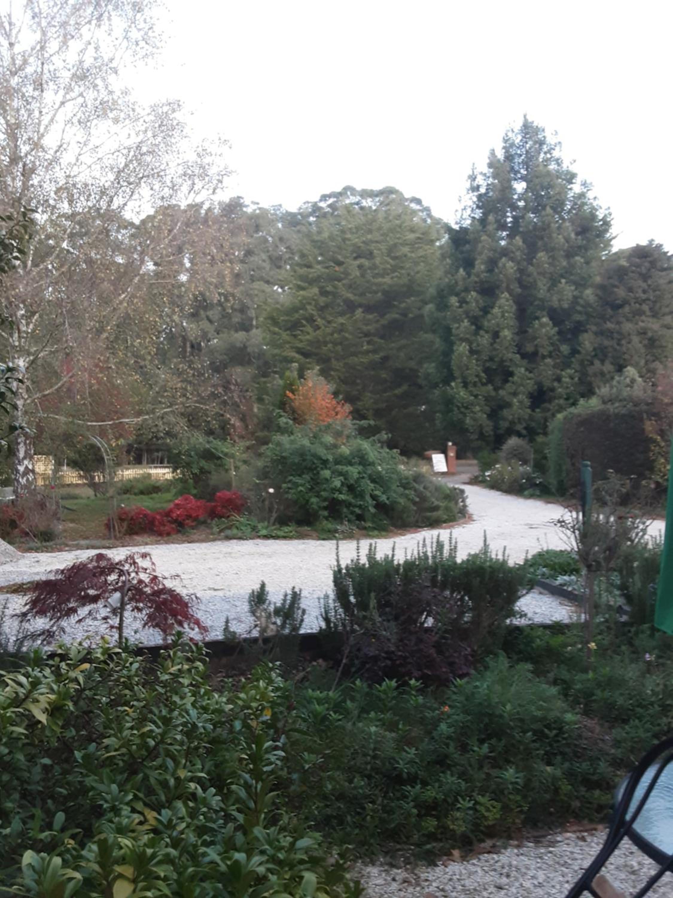 Oaktree Guest House