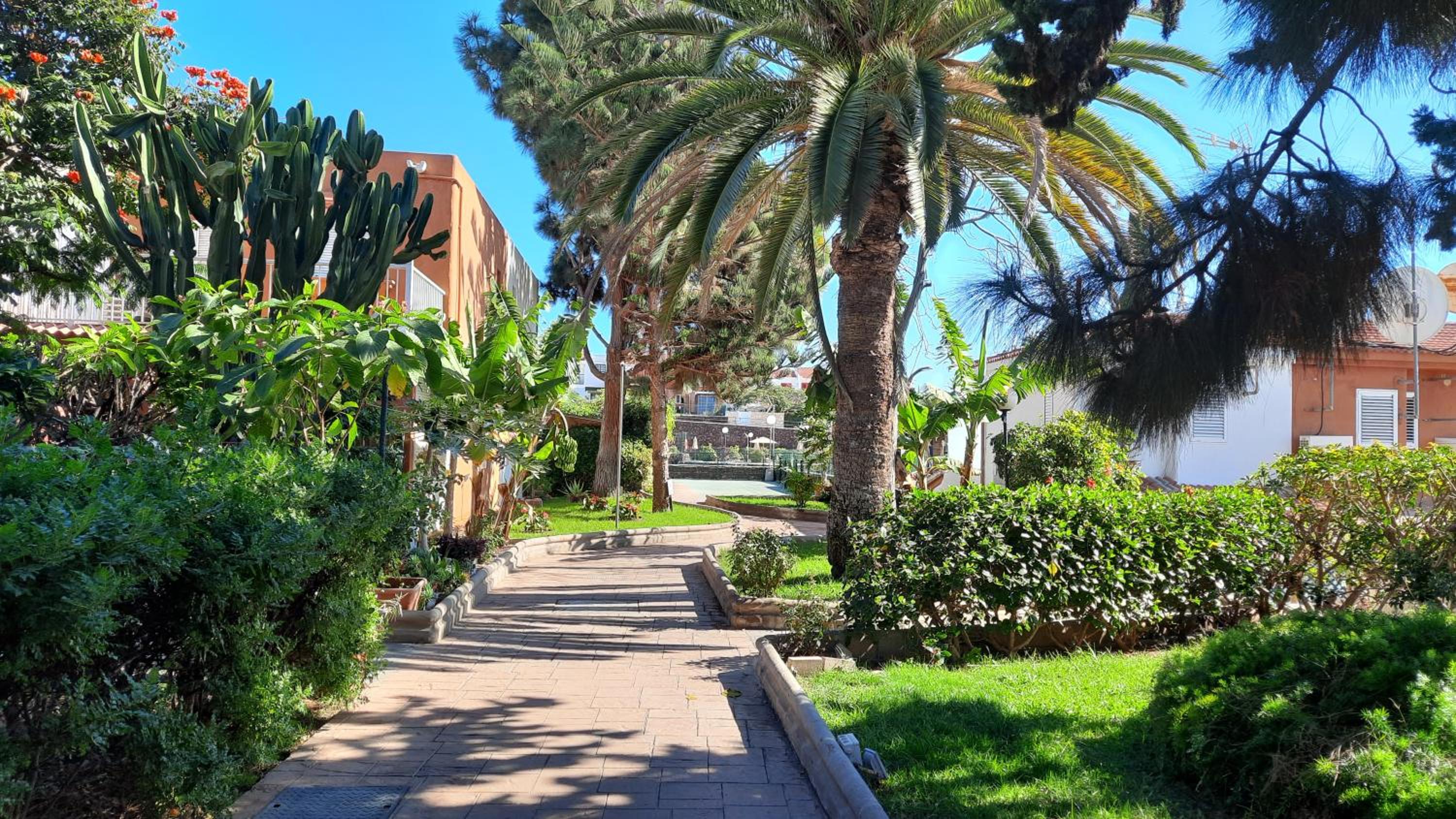 Cielo AZUL INTENSO Y Sol RADIANTE EN MASPALOMAS