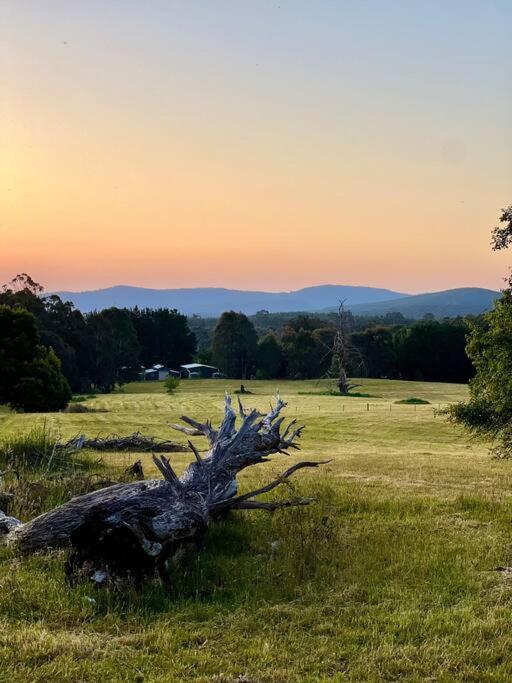 Tolmie Villa 30 min from Mt Buller