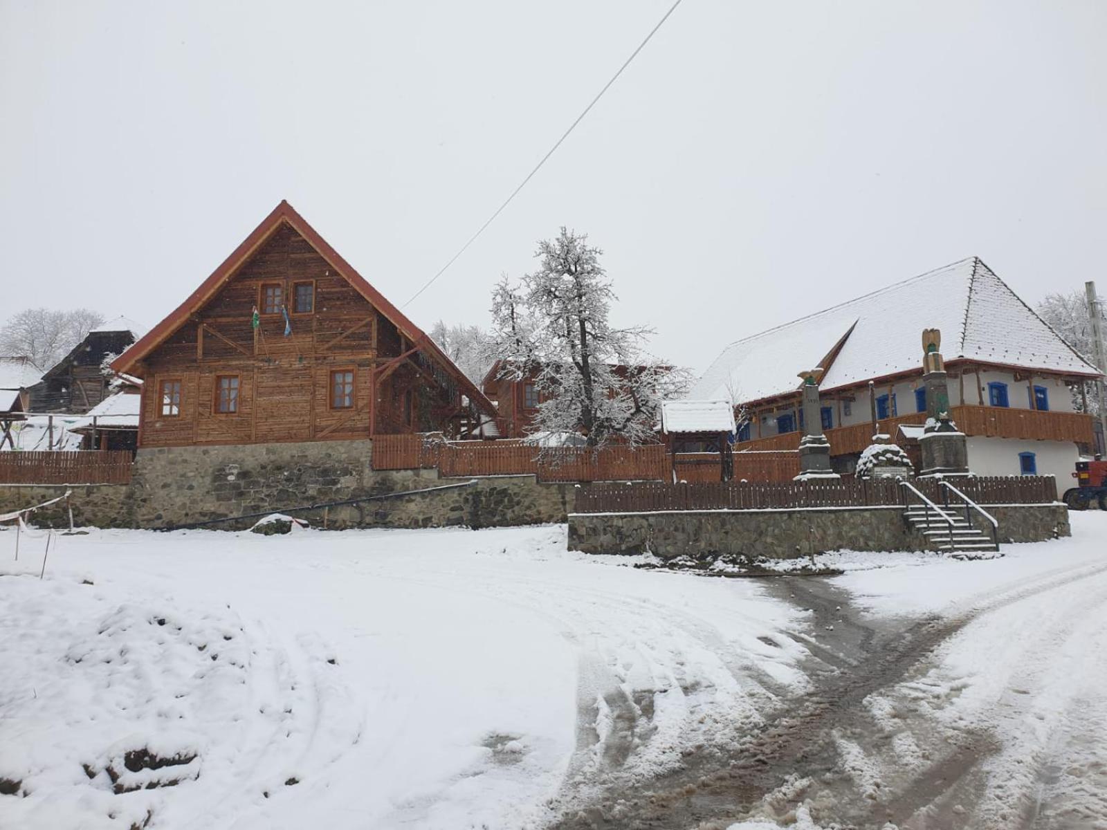 Photo 47